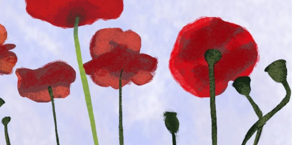 biedronka dzwonka i maki