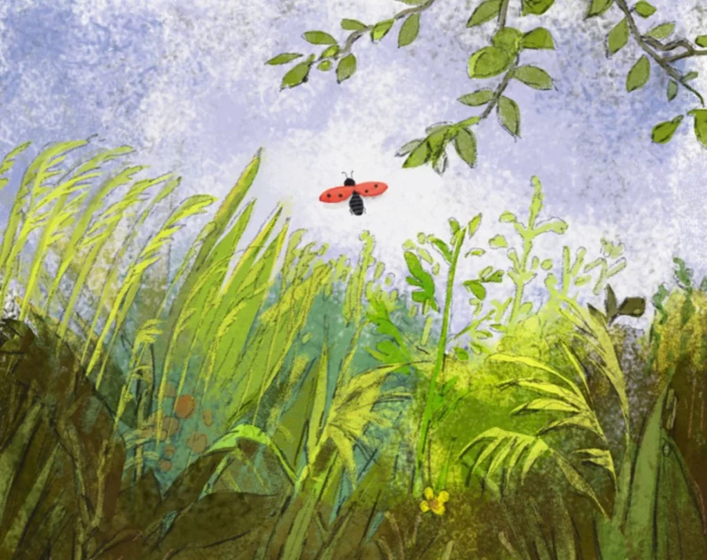 biedronka dzwonka na łące